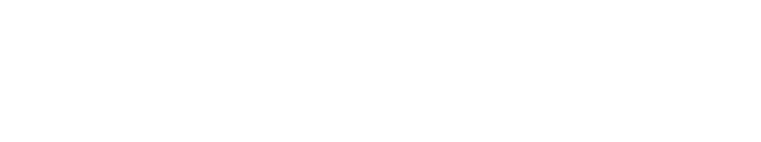 CAE ASIA LTD.